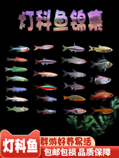 ���R�~�t�G�����~�Ꭷ��ˮ���w�^�p��ʹ����С�͌�ɏ����ȸȺ���~