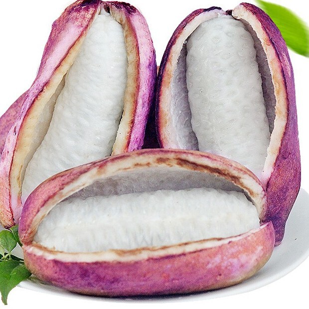 Guangxi August Melon: Direct delivery from the origin, free shipping, fresh fruit, wild fruit, August Melon, one-piece drop shipping Guangxi August Melon: Direct delivery from the origin, free shipping, fresh fruit, wild fruit, August Melon, one-piece drop shipping