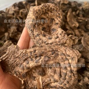 �ڻ��ƾ� ���ƾ���؛����خa Դ�^؛Դ�a�����lɽ���ֹ����b