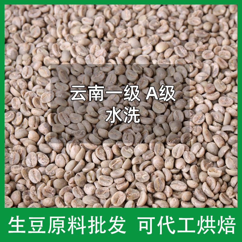 New Production Season Yunnan Small Baoshan Katim Pu'Er First-Class A-Grade 16/17 Mesh Coffee Beans Can Be Roasted New Production Season Yunnan Small Baoshan Katim Pu'Er First-Class A-Grade 16/17 Mesh Coffee Beans Can Be Roasted