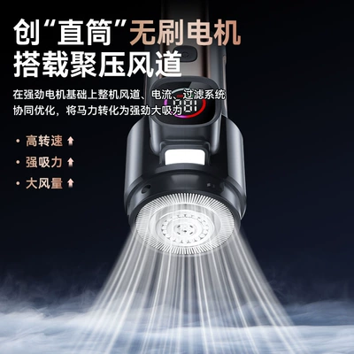 Cleaner High Power Brushless Portable, Tozsoranlar