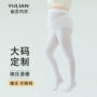 春秋成人学生大人打底袜