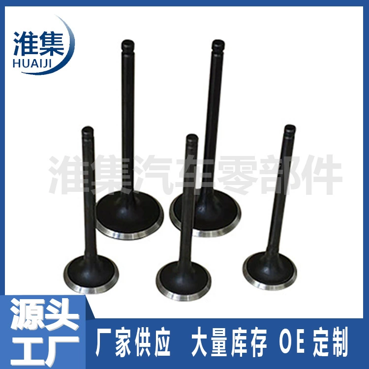 Прямые поставки с завода высококачественных впускных и выхлопных дверей двигателя 55496633 55496632