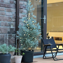 �{���ؘ�������ͥԺ���G�ɰذ������͟�e���ͺ����R�{��ɫ�Gֲ��