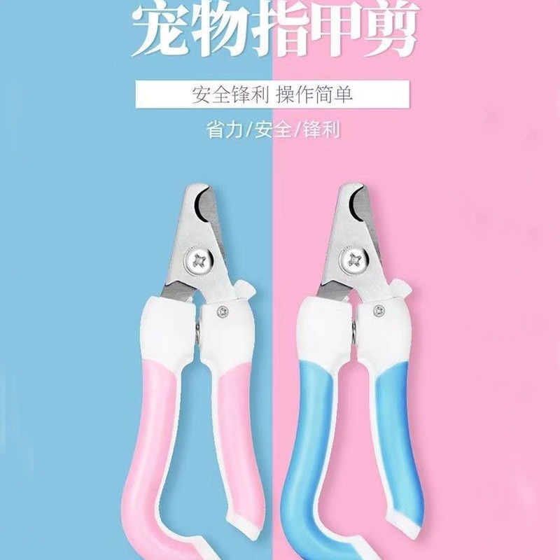 2024-05-08 09:12:20.jpg