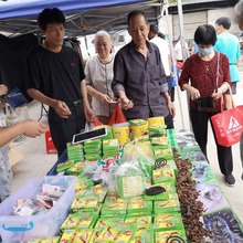 强力灭蚊王地摊跑江湖赶集路虎蚊香檀香清香型户外托盘持久蚊香王