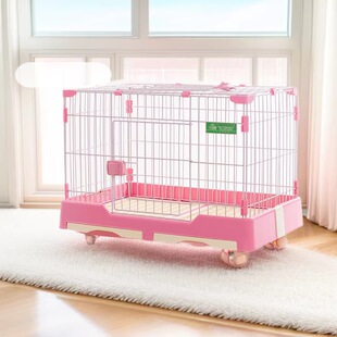 ����DPP���\С��Ȯ������ ����\���д�̖�\���û\��