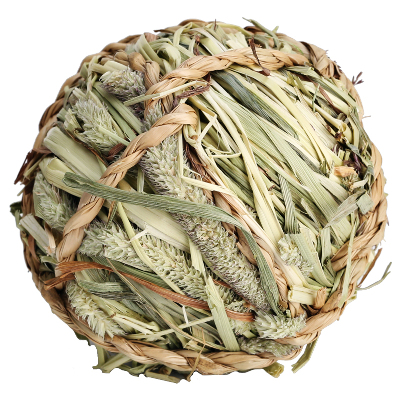 ✅Juego de suministros para aliviar el aburrimiento de hámster de juguete para conejos