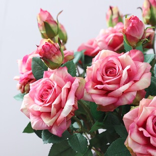 �W˹������õ�廨�����ٻ��Wʽ�b����͏d�����҃��Ĕz����