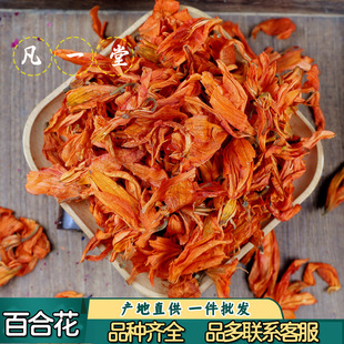 ��һ�ðٺϻ��� �ٺϻ��ɲ� �ɰٺϻ� ���� �����x�Ŀɟo�۰l؛