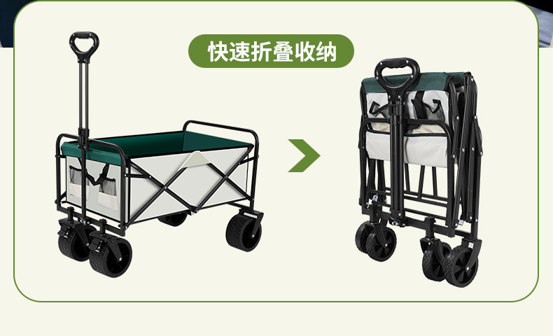 15bfdd9b-8c33-41dc-88d4-a9b9166cdd36.jpe