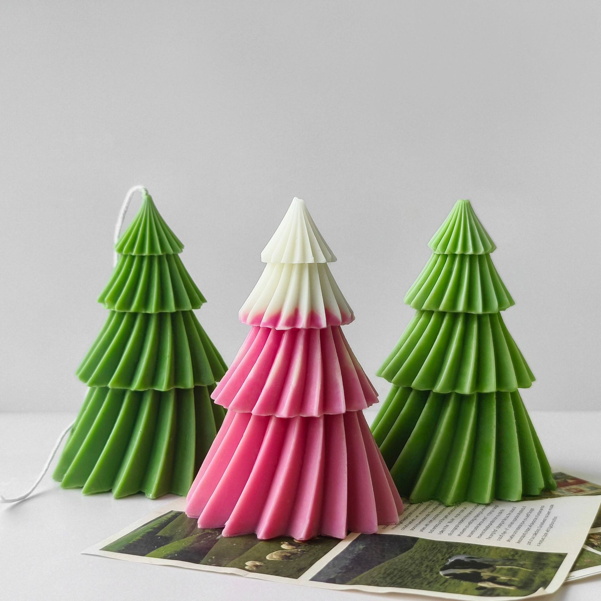 微信图片_202409231552251