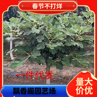 һ�����l�ش�o��������玧ԭ�������tͥԺ�����Ϸ������Nֲ����