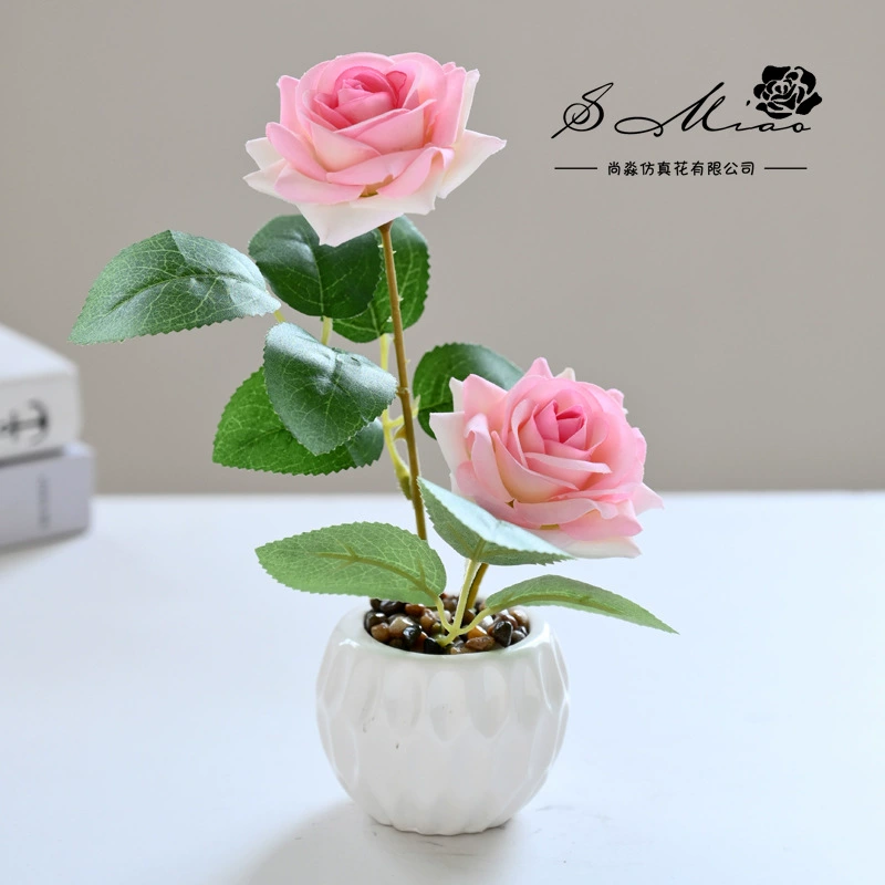 Современные и минималистичные реалистичные декорации для беседки