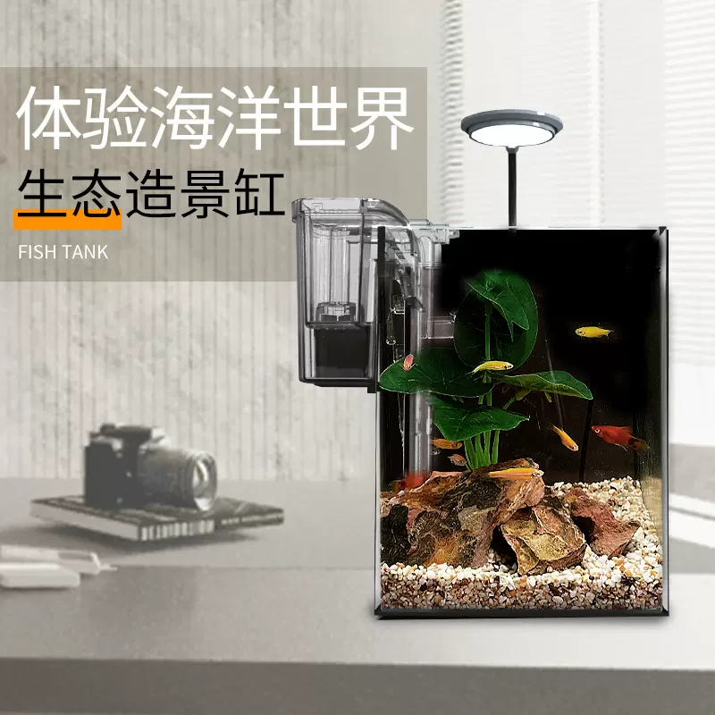懒人迷你鱼缸客厅小型方缸玻璃免换水网红造景生态创意家用桌面缸