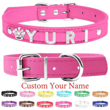 K 40558 Personalized pet collar ���Գ�����Ȧ�羳����ͨ��