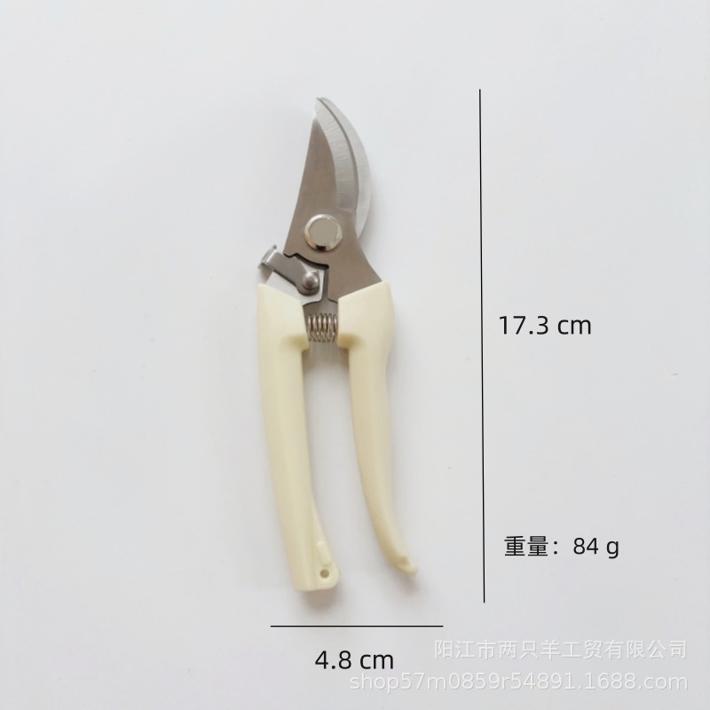 微信图片_20240524102858_副本_副本