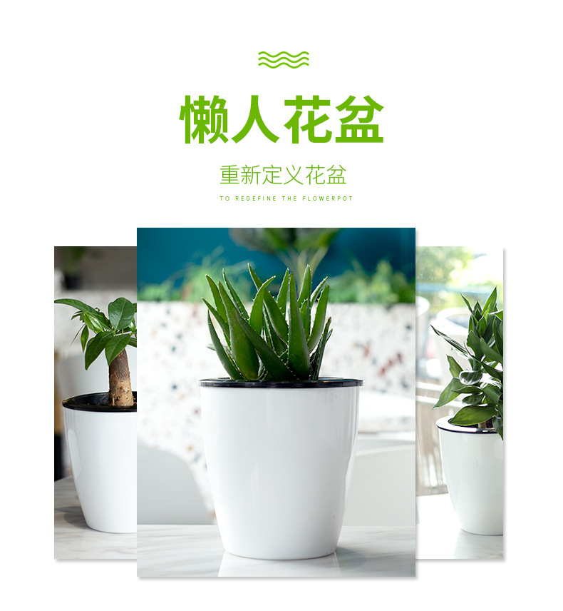 懒人花盆详情3