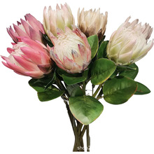 欧式小号春色仿真帝王花 南非人造普蒂亚花仿真植物 高档帝王假花