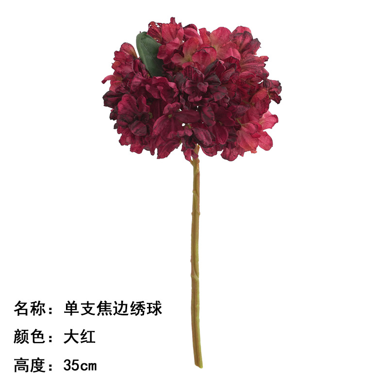 Single Coke Edge Hydrangea Red