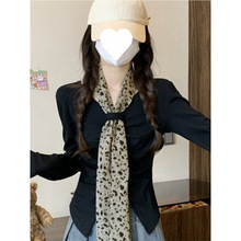 ���l���羳 �S�Ĳ�Ī����260��1*1����������v�I�|�����²�Ҏ�t��
