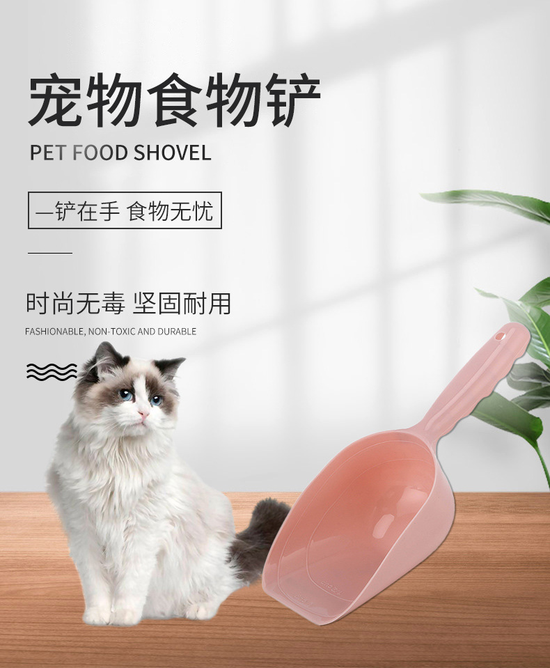 Pet details page 0106_01.jpg