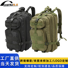 �羳���� ������g��Ӗ���b��Ұ�I���� �\���H���p���3P��������