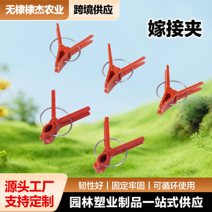 �羳�������N�޽ӊA�A�^�����S�����Ϸ��Ѽ޽ӌ��ÊA��500�˴��b
