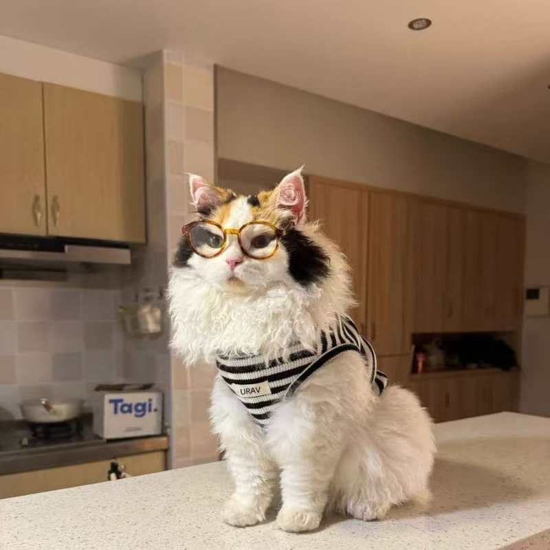 Ropa de gato de verano delgada perro pequeño anti-pello transpirable plata gradiente lindo gato de patas cortas chaleco a rayas