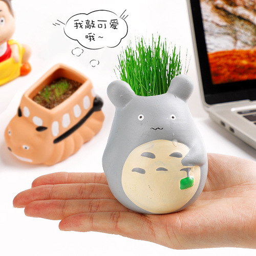 Children's diy planting small potted plants creative desktop mini grass head plants micro landscape indoor ceramic green plants wholesale