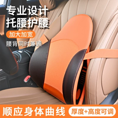 Seat, Office Chair Backrest | Waist support