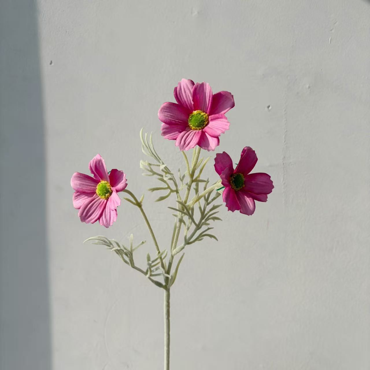 로즈 레드