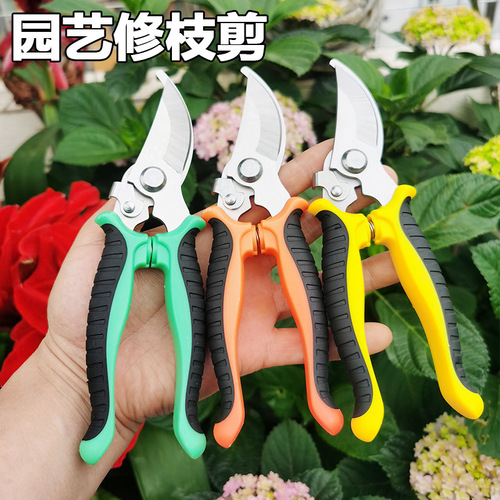 Multi-purpose pruning shears for gardening, landscaping, and orchards—ideal for trimming branches, cutting fruit-bearing twigs, and neatly shaping potted plants or harvesting fruits from the garden.