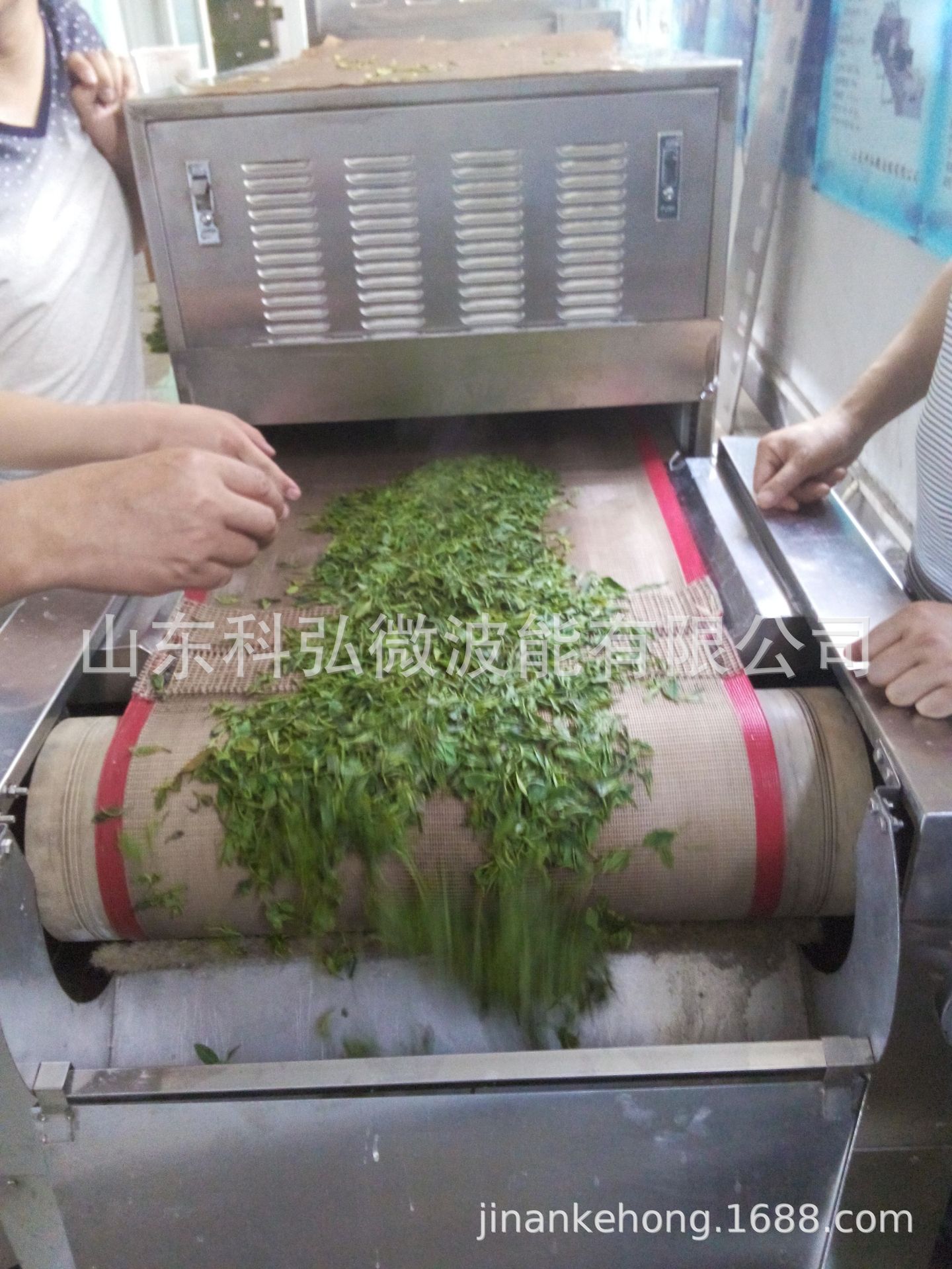 山东平邑金银花微波烘干机