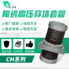 厂家直销CM-10KV/90高压母线穿墙套管10KV高压陶瓷穿墙套管