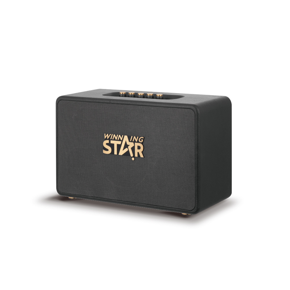 WINNING STAR transfronterizo exclusivamente para graves pesados de comercio exterior, nuevo sonido de audio portátil inalámbrico Bluetooth retro