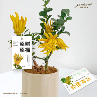 {�d��}����������ؔ�_�\���Ʒ��ָ��B�o��ʾ���҃��k���������b�