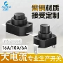一关大电流自锁10a开关