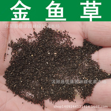 ݻN ~ݷN ^ ~ {ӻN 1=1