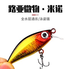 Fishing Gear Japanese Lure Micro Minnow Slow Sinking Water 5cm 4.8g Bionic Red-Eye Mouthbrooder Whitefish