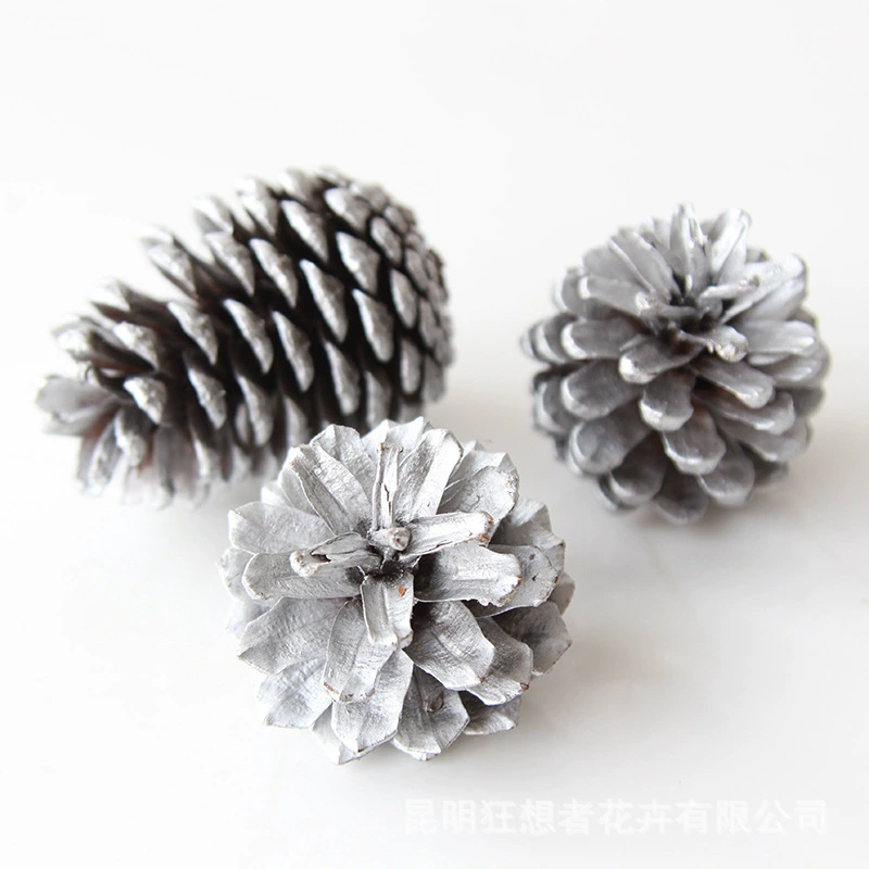 Dry Flower DIY Materials [Dry Fruit] Madman Sommelier Candle Plant Simagon Handmade Class Dry Flower Dry Branches Material