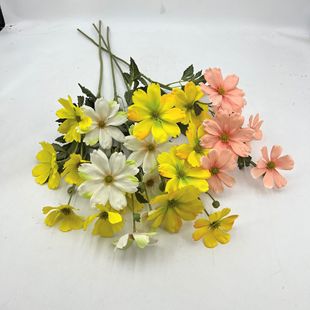 ���滨��֧��˹�շ���ջ������ٻ����Ҿӻ�c��Y�û��S�����l