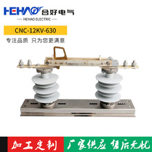 10kvϸѹ뵶բCNC-12/630A CNC-12KVABB뿪