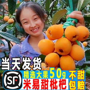 �Ĵ���֦���������˴�����r����ˮ�����������ؼ������������r��