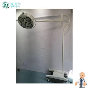 Free Shipping Cold Light Source Vertical Hole Shadowless Lamp Oral Tattoo Reflective Lamp Medical Examination Lamp Led Surgical Lamp