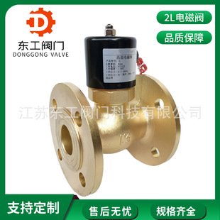 2Lȫ�~���m�ߜ�����늴��y 220V24V���m늴��y �S�~늴��yDN15/20