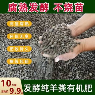 ��S�l���ЙC�ʸ���S����S�����u�S�ʻ��ܼ��u�S�ЙC�����߲�