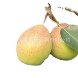 �S�ҳ��깩������7̖ pear �gӭ�����xُ �r������