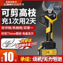 V�M��늄���֦����֦������ȫ�Ԅ�Һ���o����늈@ˇ�@�ִ�֦