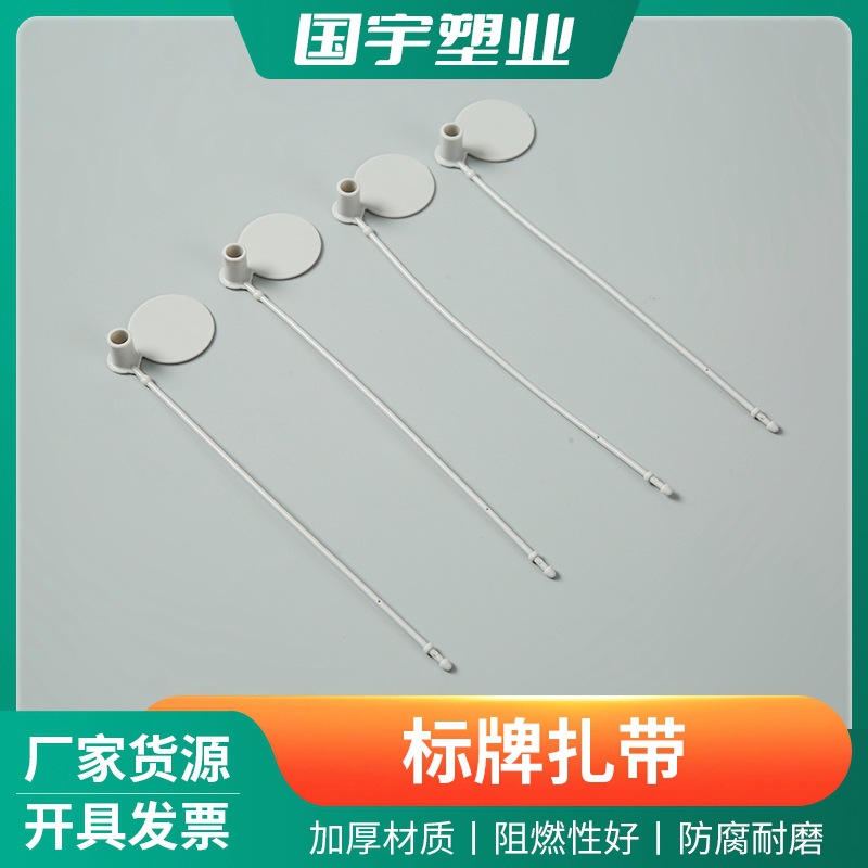 批发一次性防调包防伪标牌扎带 服饰箱包防盗扣 塑料铅封标签扎带